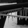"The worst winter storm in the last decade has hit our fair area so, naturally, we sent our talented photographers out to get pictures. Check out what they came back with..."