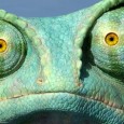 "Rango follows the life of a pet lizard, Rango, who is thrown from a vehicle and his tank and life he is accustomed to, into the whole new world of a desert..."