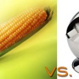 "Since its nationwide introduction in 1972, high-fructose corn syrup (HFCS) has become a cheaper, more widely used alternative to sugar in processed foods..."