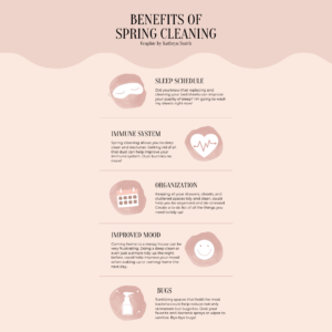 spring cleaning infographic