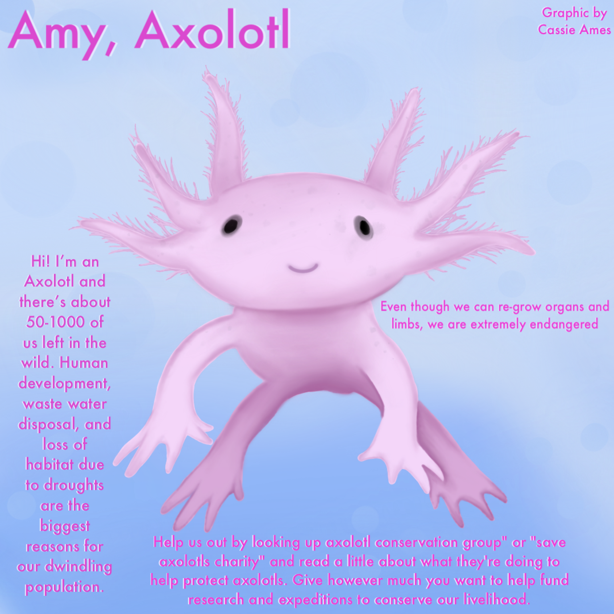 Amy Axolotl Graphic