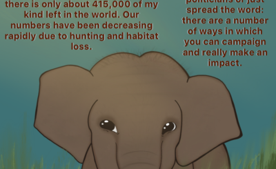 Ellie Elephant Graphic