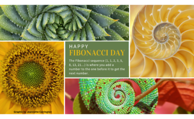 Fibonacci Day Graphic