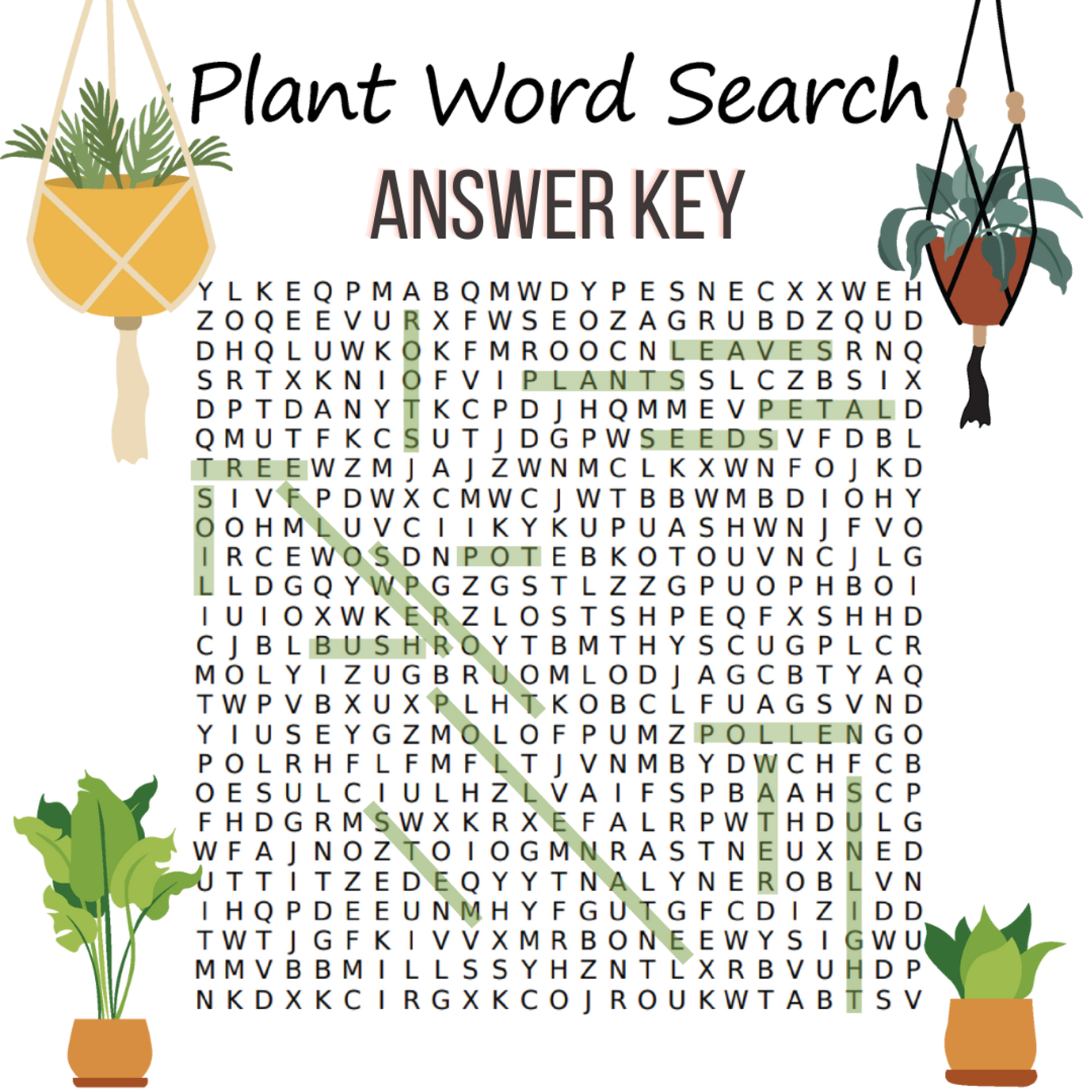 plant word search answer key