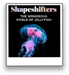 Shapeshifters book cover