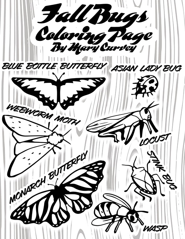 Fall bug coloring page