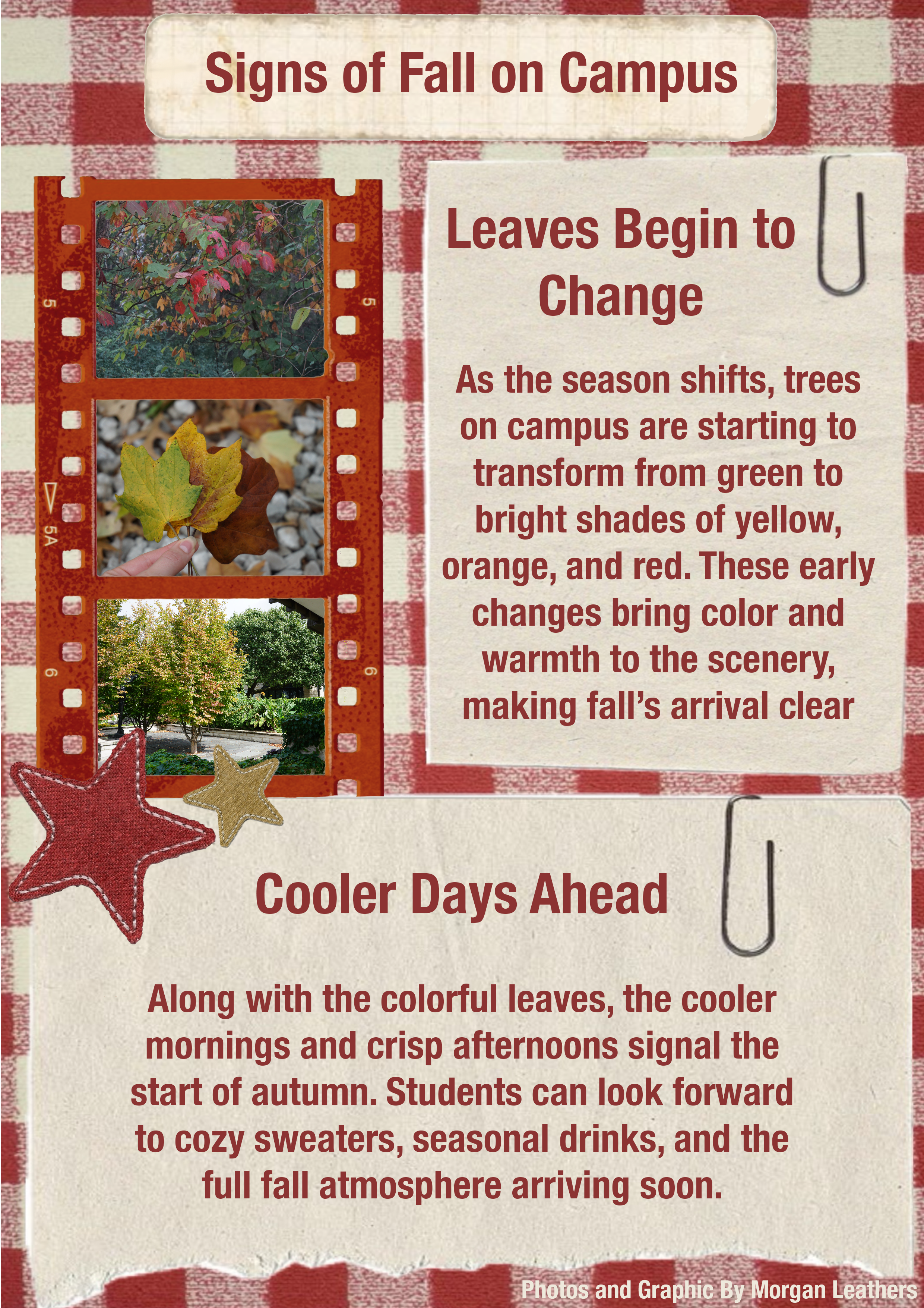 Signs of Fall Around Campus

Leaves Begin to Change
As the season shifts, trees on campus are starting to transform from green to bright shades of yellow, orange, and red. These early changes bring color and warmth to the scenery, making fall’s arrival clear.

Cooler Days Ahead
Along with the colorful leaves, the cooler mornings and crisp afternoons signal the start of autumn. Students can look forward to cozy sweaters, seasonal drinks, and the full fall atmosphere arriving soon.