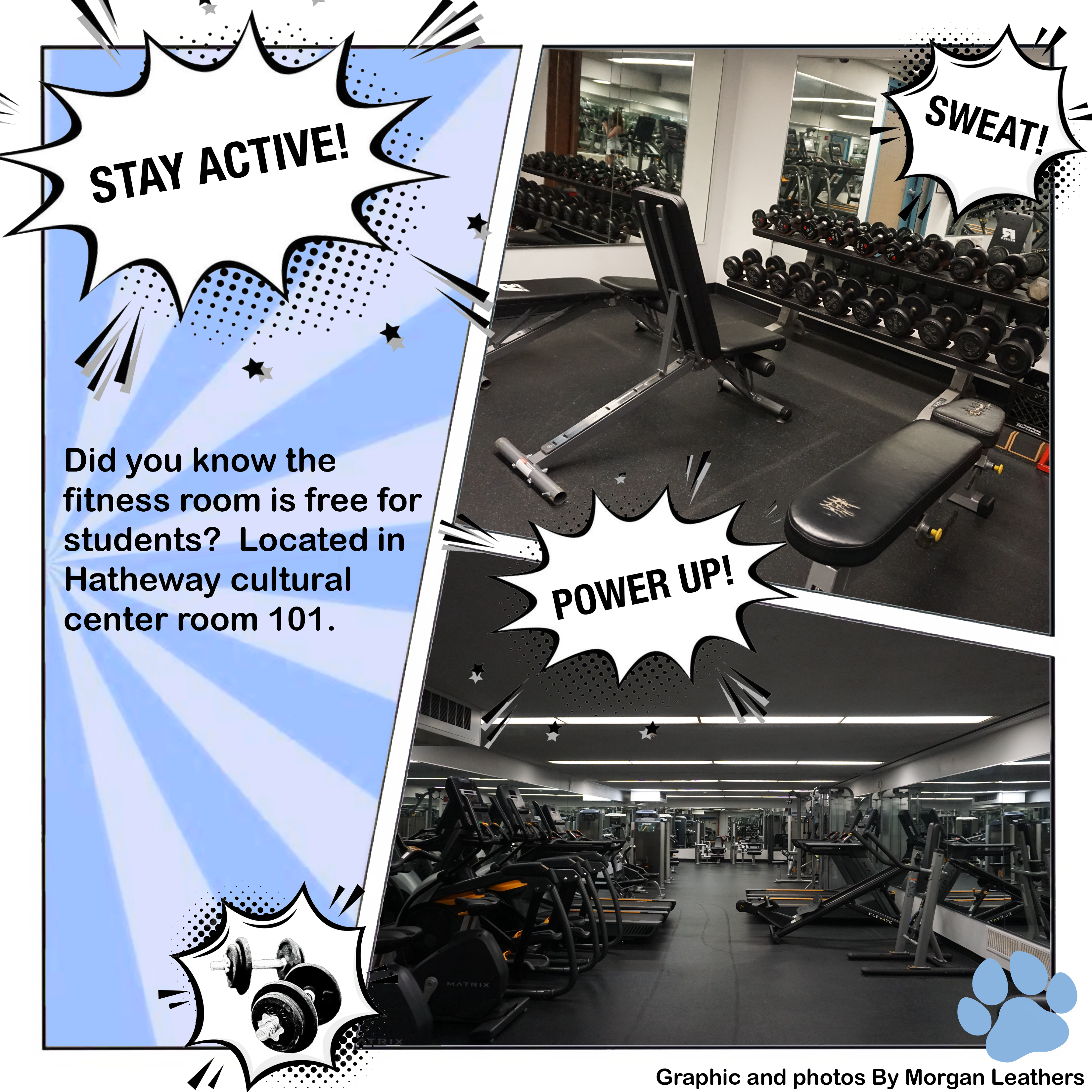 Stay Active!
Sweat!
Power Up!
Did you know the fitness room is free for students? Located in Hatheway Cultural Center, room 101.