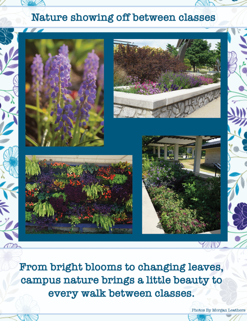 Nature showing off between classes

From bright blooms to changing leaves, campus nature brings a little beauty to every walk between classes.