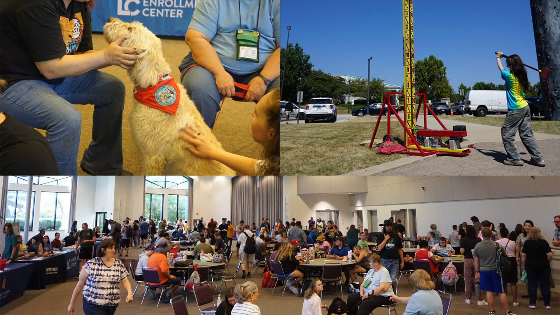 A collage of images from Lewis and Clark's 2025 Fall Fest