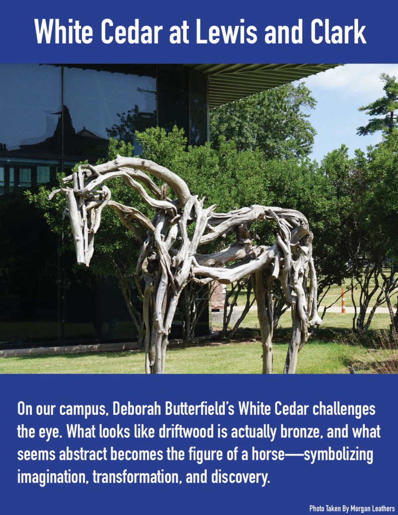 White Cedar at Lewis and Clark. 
On our campus, Deborah Butterfield's White Cedar challenges the eye. What looks like driftwood is actually bronze, and what seems abstract becomes the figure of a horse - symbolizing imagination, transformation, and discovery. 