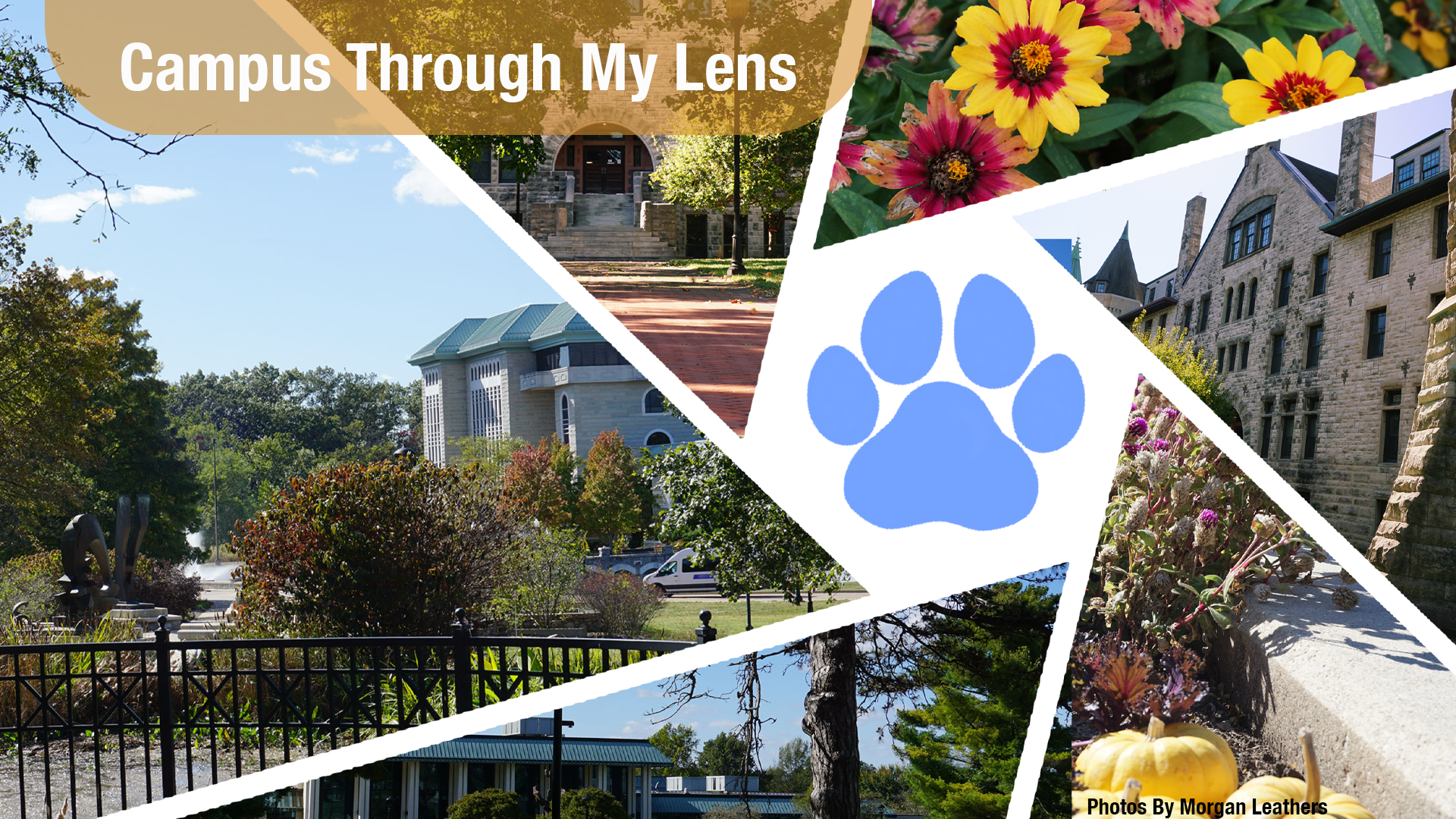 Collage of images taken of Lewis and Clark campus